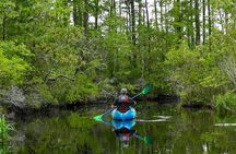 Alligator River Refuge at Buffalo City