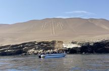 3 Days Tour: Paracas and Huacachina