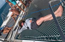 Snorkeling Adventure at Caye Caulker Marine Reserve