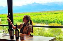 Discover Uco Valley Luxury Tour with Expert Guide Sommelier