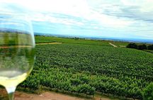 Discover Uco Valley Luxury Tour with Expert Guide Sommelier