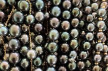 Escape Land & Sea – Taha’a Vanilla Island Full Day