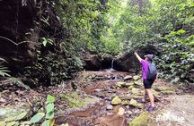 Waterfall Circuit - Tijuca National Park