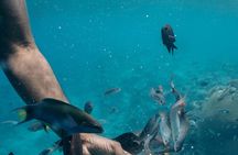 Pele Island Adventure Snorkeling and Culture