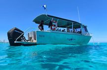  2 Tank (1 Day) Guided Diving for Certified Divers - Denarau Marina