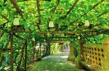Flexible Private Turpan Day Tour from Urumqi