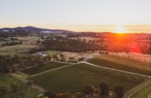 Immerse with Swinging Bridge Tour