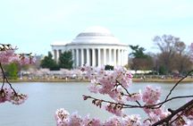 DC Monuments Tour with 10+ Sites & Washington Monument Ticket