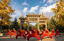 Xi'an Private Day Trip to Shaolin Temple and Songyang Academy by Bullet Train