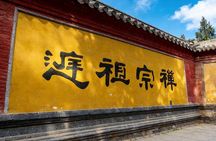 Xi'an Private Day Trip to Shaolin Temple and Songyang Academy by Bullet Train