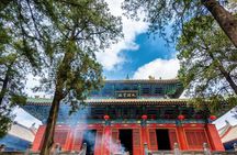 Xi'an Private Day Trip to Shaolin Temple and Songyang Academy by Bullet Train
