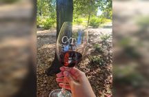 Private Transport from Santiago: Viña Concha y Toro Tour + Museum