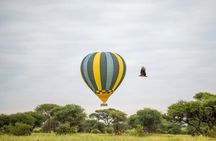 Arusha: 4-Day Big five Safari & Amazing Balloon experience