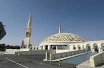 Al Ain City Tour: Camel Market, Oasis & Forts