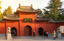 Private Day Tour to Luoyang's Top 3 Must See Attractions 