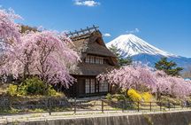 Tokyo: Mount Fuji Must-see Attractions One Day Sightseeing Tour