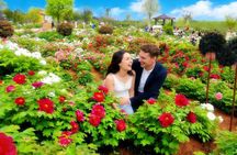 Luoyang Private Tour to Longmen Grottoes and Peony Blossom Sightseeing