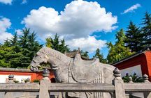 Xi’an Private Tour to Longmen Grottoes and White Horse Temple by Bullet Train