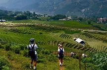 Authentic 2-Day Sapa Trekking with Local Black Hmong & Homestay