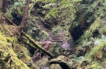 E-Bike Tour to Puck's Glen and Hidden Waterfalls