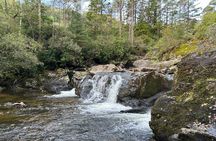 E-Bike Tour to Puck's Glen and Hidden Waterfalls
