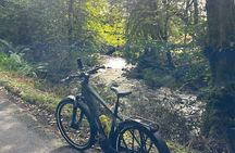 E-Bike Tour to Puck's Glen and Hidden Waterfalls