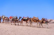 Agafay Desert Adventure Pack Quad and Camel Ride with Dinner Show