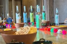 Tequila and Mezcal Tasting in Puerto Escondido