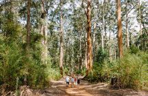 Private Margaret River Day Tour from Perth