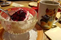 Tallinn Food and History Tour for the Cruise Ship Passengers