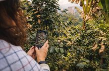 Private Tour to Guatapé & Coffee Farm from Medellín!