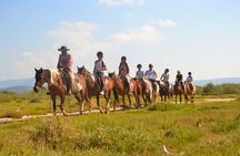 Kusadasi Horse Safari with Ride along Pamucak Beach