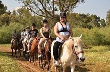 Kusadasi Horse Safari with Ride along Pamucak Beach