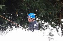 Cove Creek Waterfall Rappel and Canyoneering Adventure in Brevard