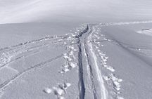  Tashkent Tour at Amirsoy, Chimgan Mountains and Charvak lake