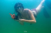 Swim With Dolphins and Shell Island Snorkeling Adventure