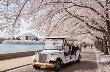 Washington DC Monument's Cherry Blossom Guided E-Cart Tour