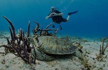 Certified Diving Trip 2 tanks