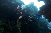 Certified Diving Trip 2 tanks