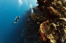 Certified Diving Trip 2 tanks