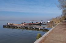 La Albufera Natural Park 4x4 Private or Shared