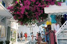 Private Mykonos Highlights Customizable Tour Pick Your Time