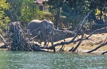 Upper Zambezi Canoeing 