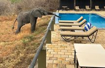 5-Day Private Luxury Safari from Zanzibar to Northern Tanzania