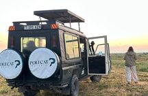 5-Day Private Luxury Safari from Zanzibar to Northern Tanzania