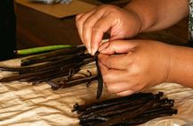 Day discovery of Tahaa vanilla beads rum and snorkeling