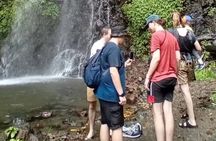 Dark View Fall Rainforest Waterfall Adventure with Scenic Drive