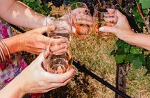 Private Pink Hummer 2 Limo Wine Tour in Fredericksburg