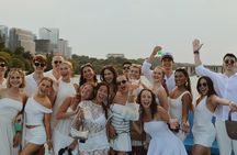 Washington DC Party Yacht Open Bar Cruise on the Potomac