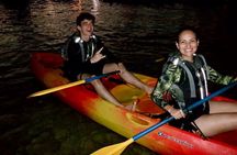 Fajardo Bio Bay Guided Kayak Tour